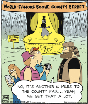 brevity